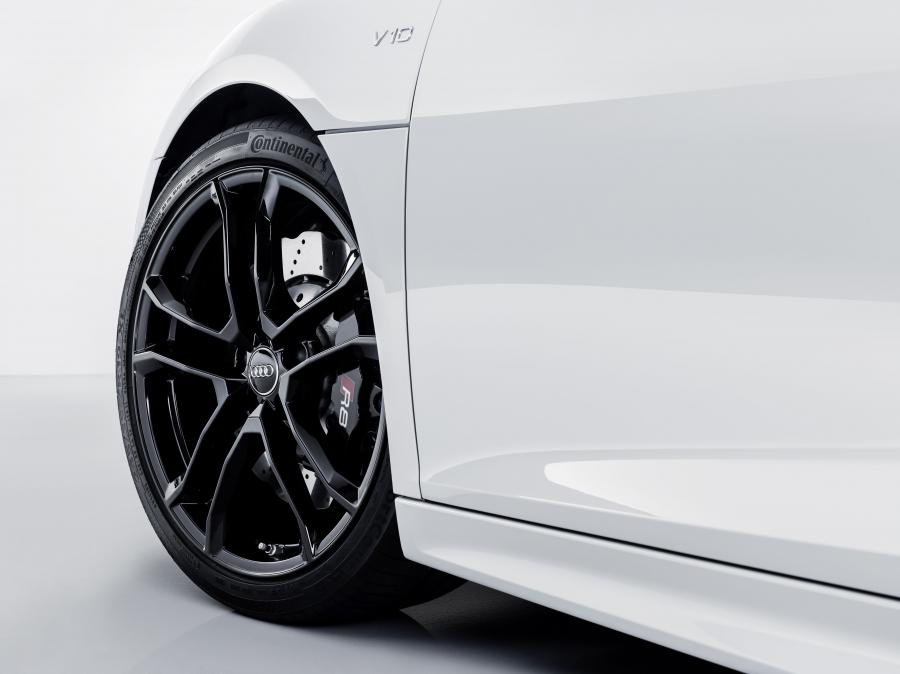 Детали экстерьера Audi R8 V10 RWS 2017 года  (WW) (фото 75 из 81)